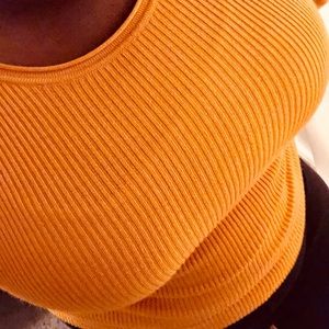 Plus Size 1x Mustard Waist Length Sweater